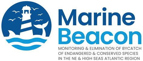 Marine Beacon Project - raincitystudios.com