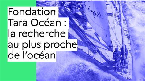 Marine biodiversity and climate | Fondation Tara Océan - raincitystudios.com