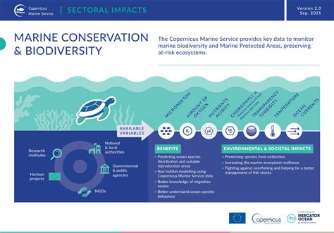 Marine Biodiversity and Conservation - raincitystudios.com