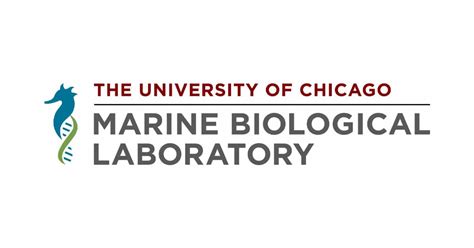 Marine Biological Laboratory | Falmouth, United States … - raincitystudios.com