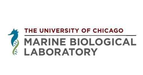 Marine Biological Laboratory Establishes Robert Jeffrey Zimmer Chair ... - raincitystudios.com