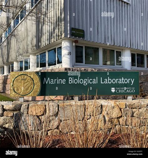 Marine Biological Laboratory - raincitystudios.com