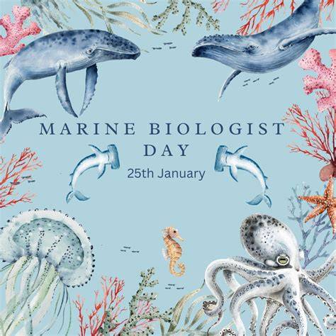 Marine Biologist for a Day - Ocean Life Education - raincitystudios.com