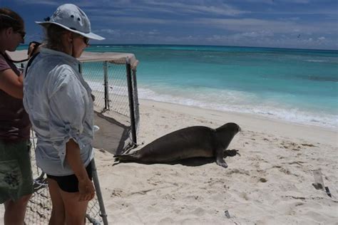 Marine Biologist in Canada | Available jobs - Job Bank - raincitystudios.com
