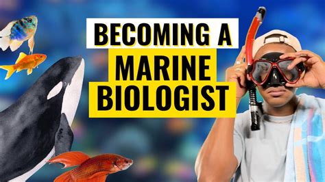 Marine biologist - Prospects.ac.uk - muktibox.com