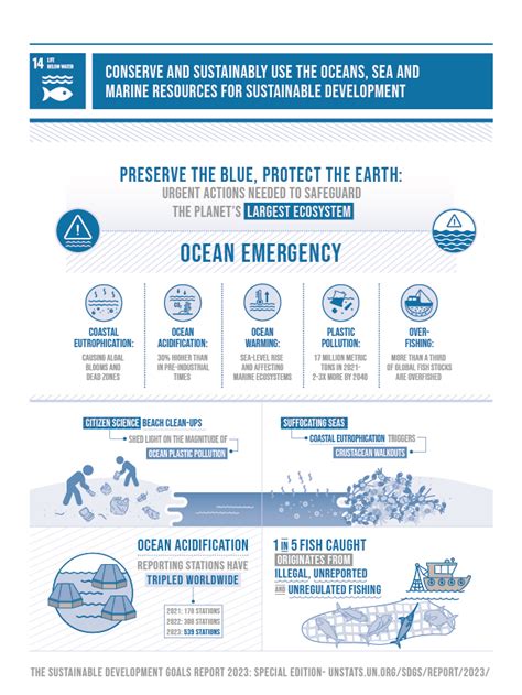 Marine Biology's Role in SDGs - raincitystudios.com