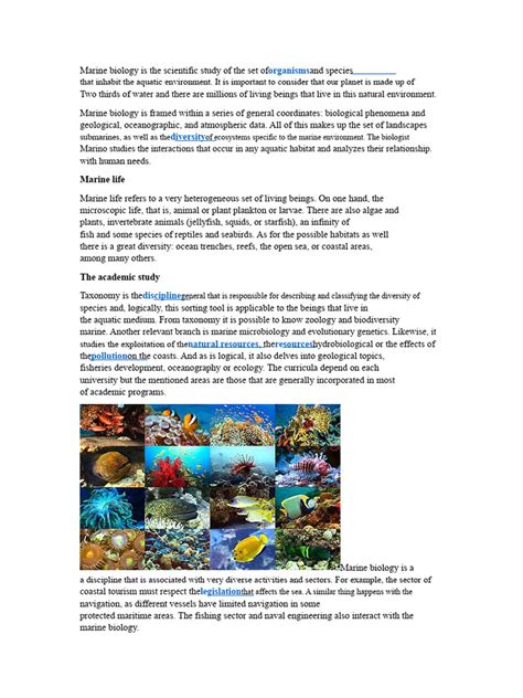 Marine Biology: An Overview - raincitystudios.com