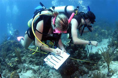 Marine Biology & Ecology - raincitystudios.com