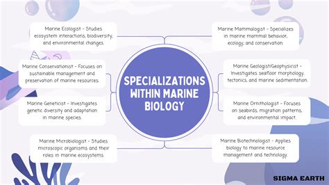 Marine Biology | ASU Earned Admission - courses.ea.asu.edu - raincitystudios.com