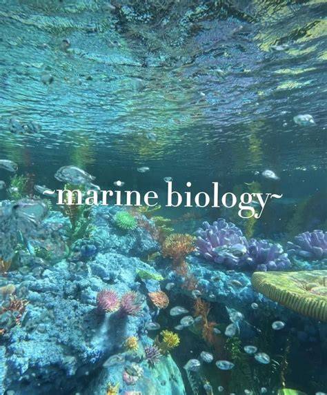 Marine Biology | Courses | Sustainability Courses | Sustainability in ... - raincitystudios.com