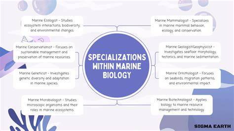 Marine biology | Description & Facts | Britannica - raincitystudios.com