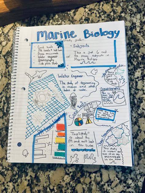 Marine Biology – Notes and Study Guides - raincitystudios.com