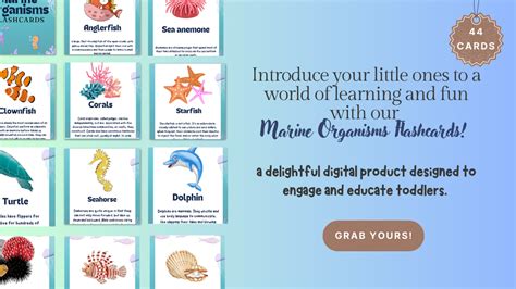 Marine Biology 4 Flashcards | Quizlet - wintechmobiles.com