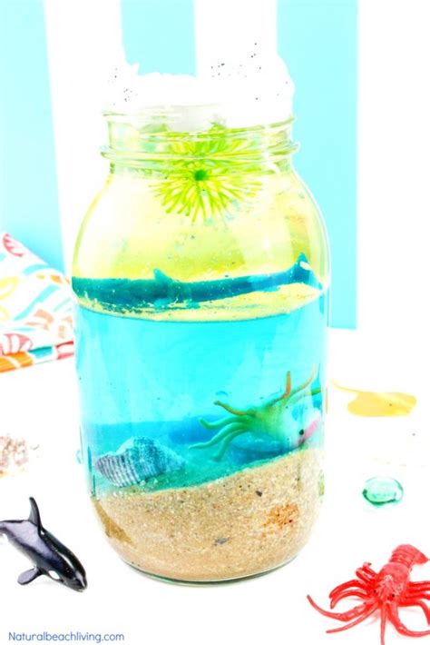 Marine Biology Activities for Kids | Fun Ocean Science … - raincitystudios.com