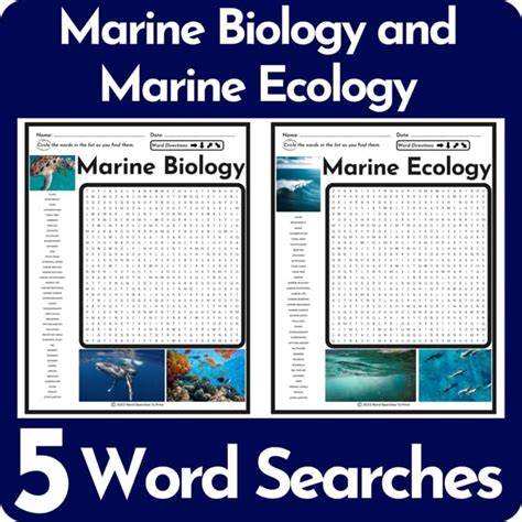 Marine Biology and Ecology | Rosenstiel School - raincitystudios.com