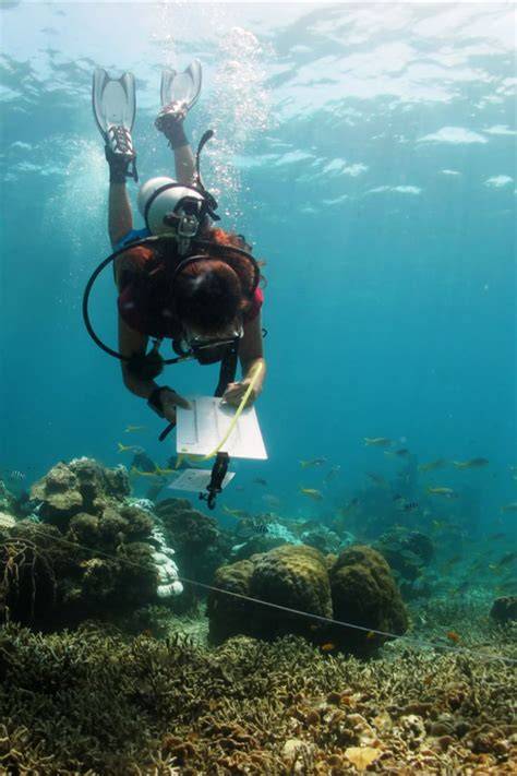 Marine Biology and Ecology - Unitus - raincitystudios.com