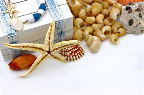 Marine Biology and Ecosystems | U.S. Geological Survey - raincitystudios.com