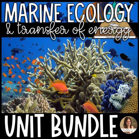 Marine Biology and Marine Ecology - Biology LibreTexts - raincitystudios.com