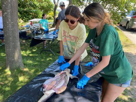 Marine Biology Camps & High School Summer Programs - raincitystudios.com