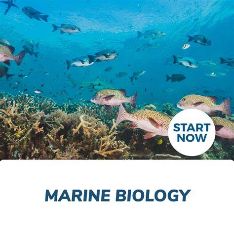 Marine Biology Certification Course Online - Courses … - raincitystudios.com