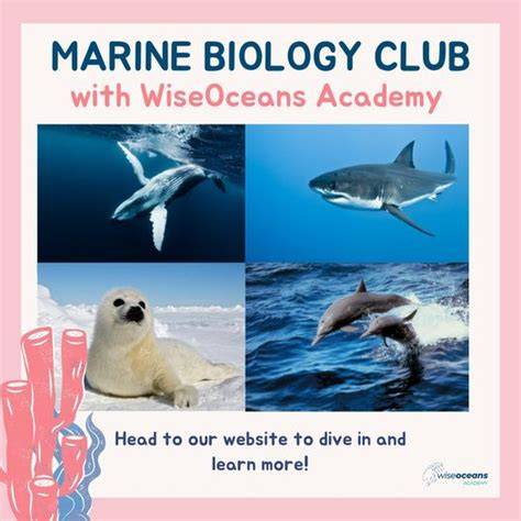 Marine Biology Club - for Ages 5-12 - raincitystudios.com