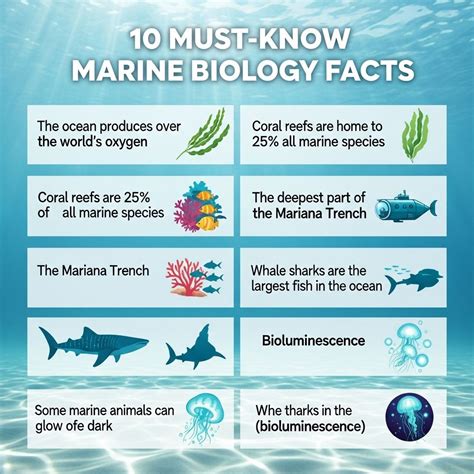 Marine Biology Facts For Kids - raincitystudios.com