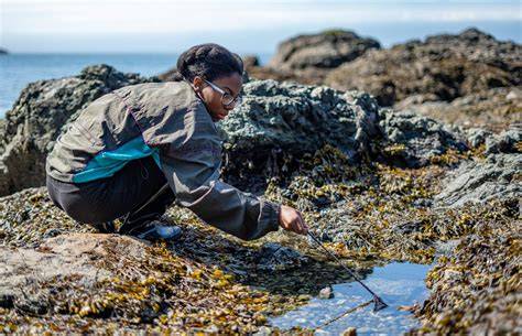 Marine Biology Field Stations Around the World - raincitystudios.com