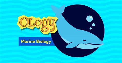 Marine Biology for Kids: OLogy | AMNH - raincitystudios.com