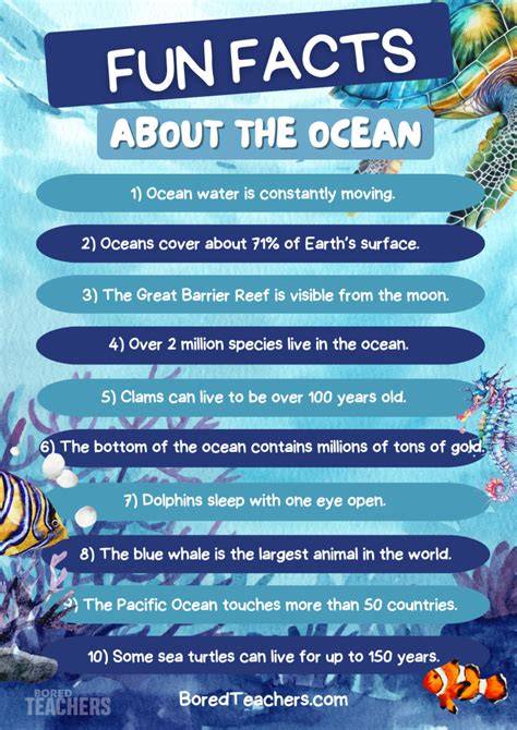 Marine Biology For Kids | Ocean Facts For Kids | Underwater Animals ... - raincitystudios.com