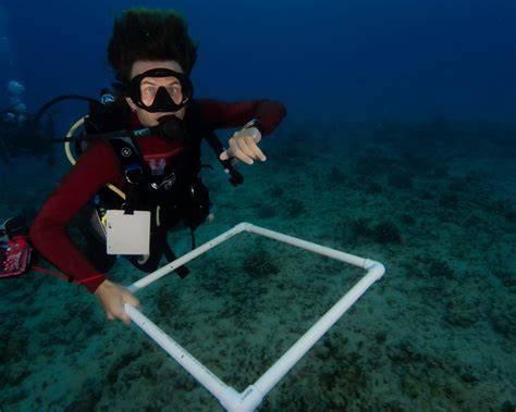 Marine Biology Internship in Hawaii - Ocean Alliance … - raincitystudios.com