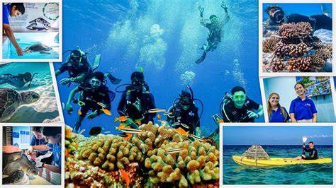 Marine Biology Internship Opportunities - raincitystudios.com