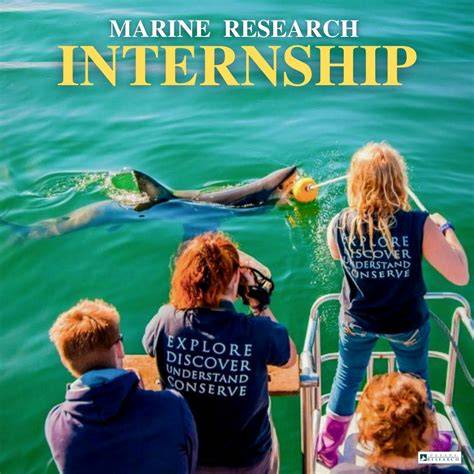 Marine Biology Internships | Intern Abroad HQ - raincitystudios.com