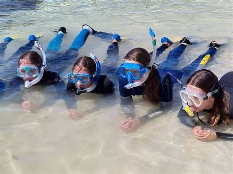 Marine Biology Kids Camp | Freestyle Divers LLC - raincitystudios.com