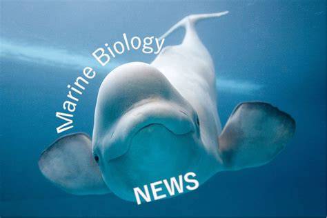 Marine Biology News - SciTechDaily - raincitystudios.com