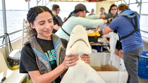 Marine Biology Research Internship Jobs in Charleston, SC - raincitystudios.com