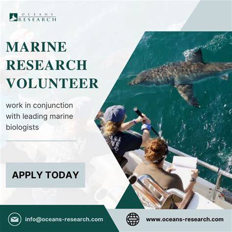 Marine Biology Research Volunteer Programs | Oceans Research - raincitystudios.com