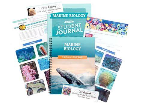 Marine Biology Science: Quick Start - The Good and … - raincitystudios.com