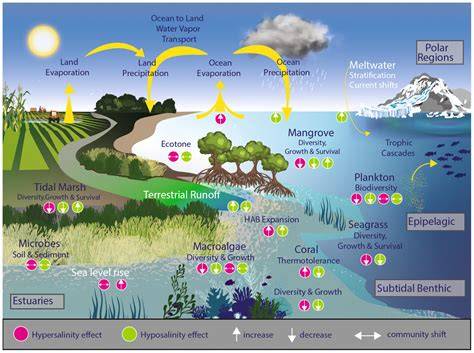 Marine biology under climate change: challenges, adaptations, and ... - raincitystudios.com
