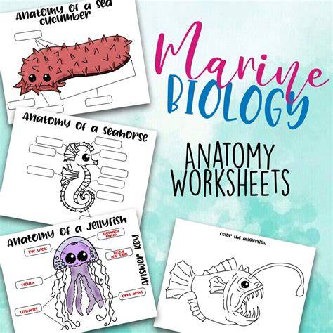 Marine biology understanding Worksheets for Kids - raincitystudios.com