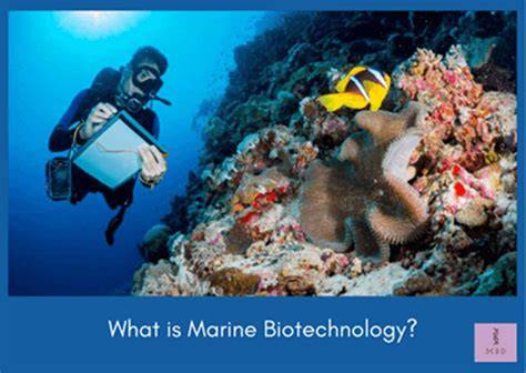 Marine Biotechnology: Applications and Challenges - raincitystudios.com