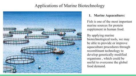 Marine biotechnology and aquaculture - UNSW Sydney - raincitystudios.com