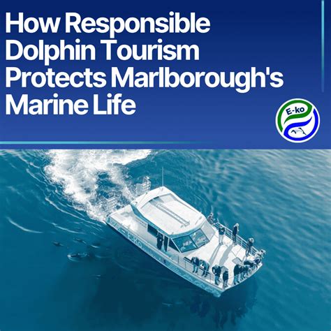 Marine conservation: How responsible tourism can … - raincitystudios.com