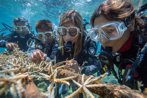 Marine Conservation | educational video for kids - raincitystudios.com