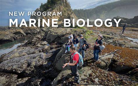 Marine Conservation Biology Graduate Programs - Best Accredited … - raincitystudios.com