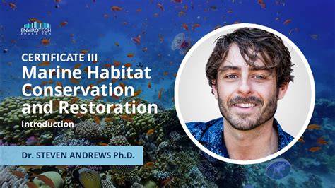 Marine Conservation Course - ALU School of Wildlife Conservation - raincitystudios.com