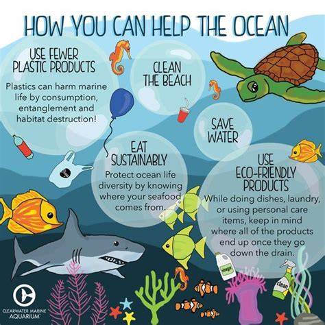 Marine conservation Facts for Kids - raincitystudios.com