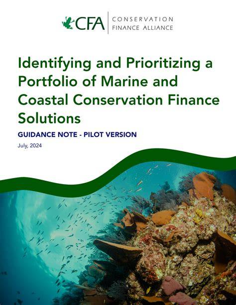 Marine Conservation Finance... - Opportunities For Youth - raincitystudios.com