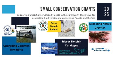 Marine Conservation Grant Applications | Seachangers - raincitystudios.com