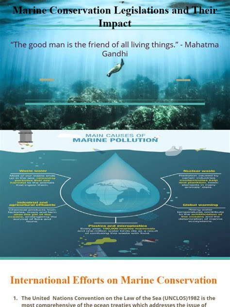 Marine Conservation Laws & Regulations | MarineBio … - raincitystudios.com