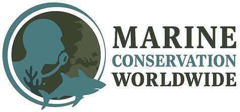 Marine Conservation - Online Learning | GVI - raincitystudios.com